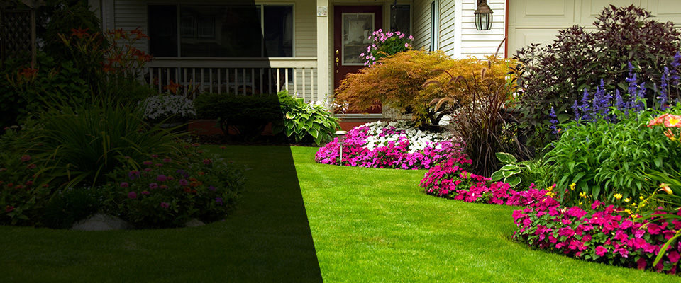 Trinidad Landscapers